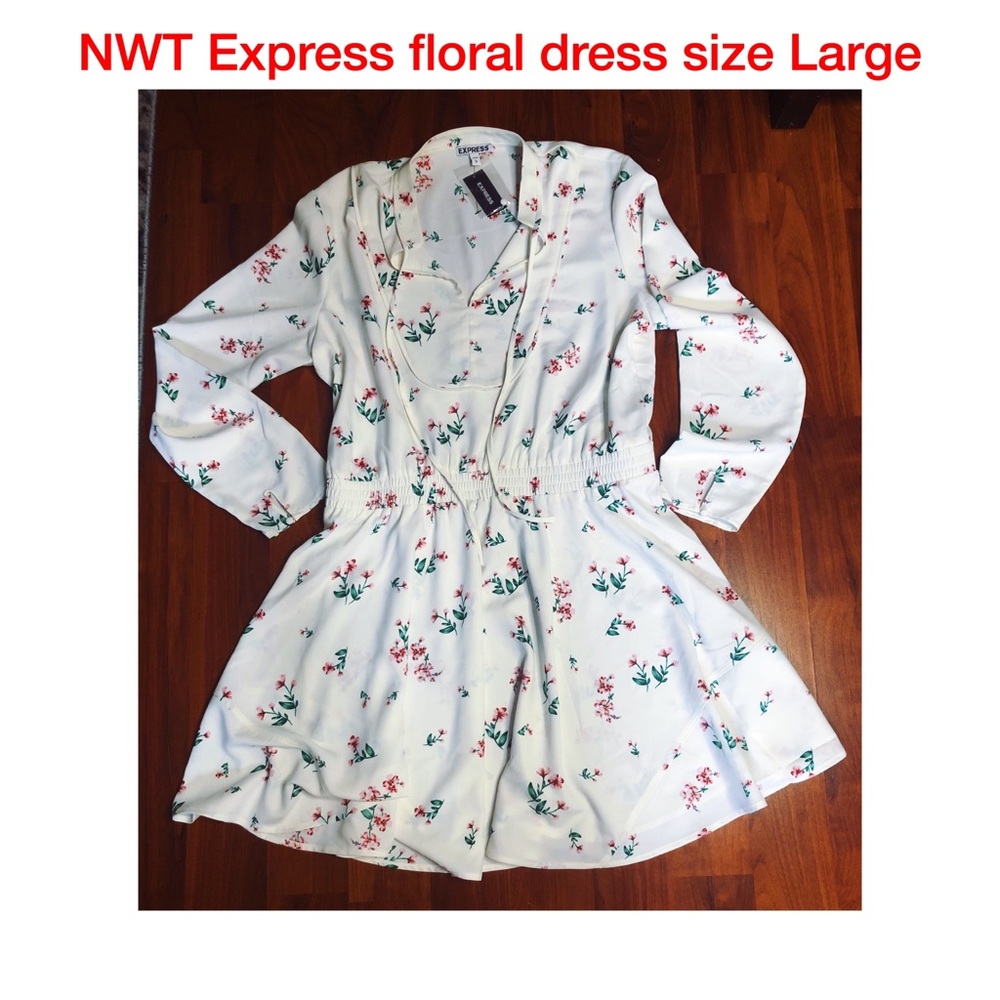 EXPRESS NWT floral A line flounce dress size L